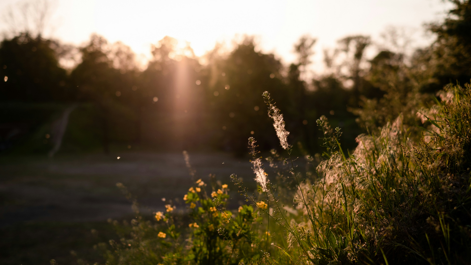 Hay Fever Keeping You Awake? Here's How to Create a More Sleep-Friendly Bedroom
