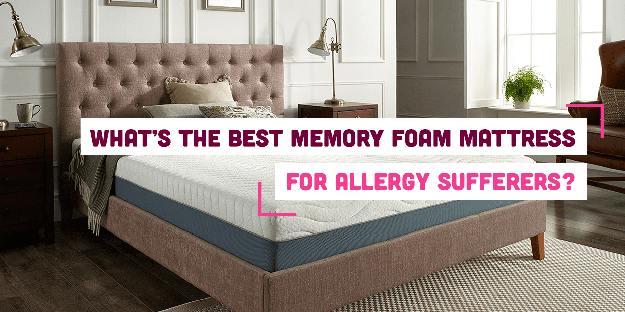 Memory foam pillow allergy clearance