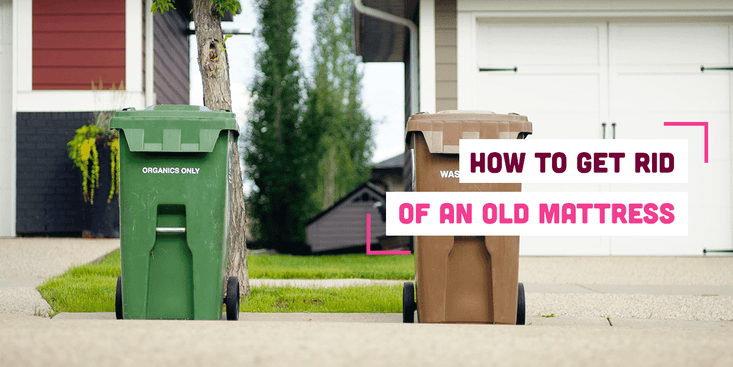 Image of two bins outside house