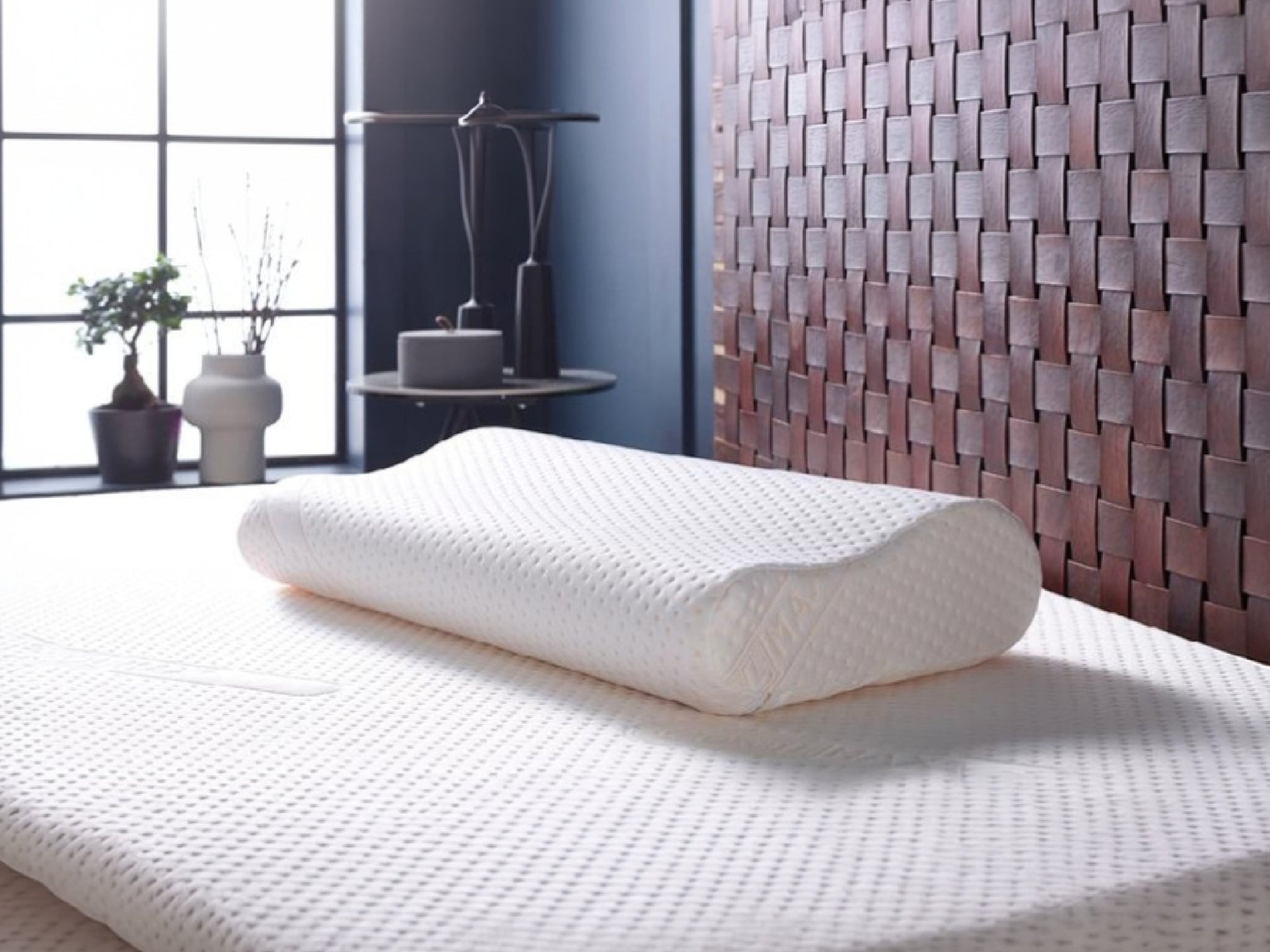 Contour Memory Foam Pillow